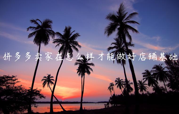 拼多多賣家在怎么樣才能做好店鋪基礎(chǔ)